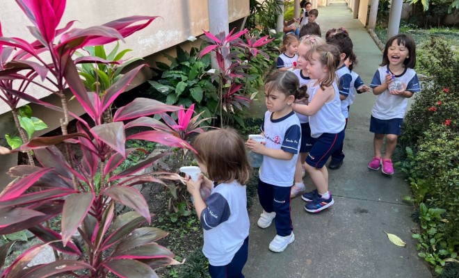 Os alunos do Maternal Hora de molhar as plantas com borrifador
